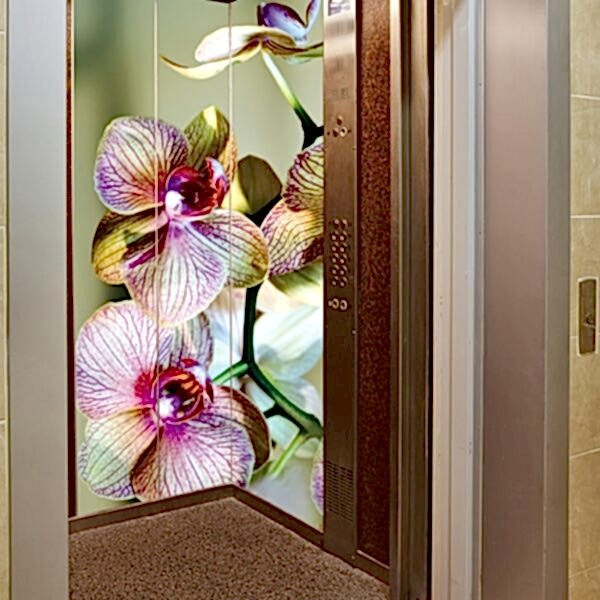 3D Asansör Kaplama #ASN-15