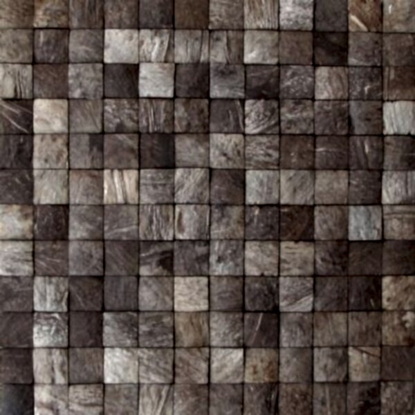 Hindistan Cevizi Karoları #5