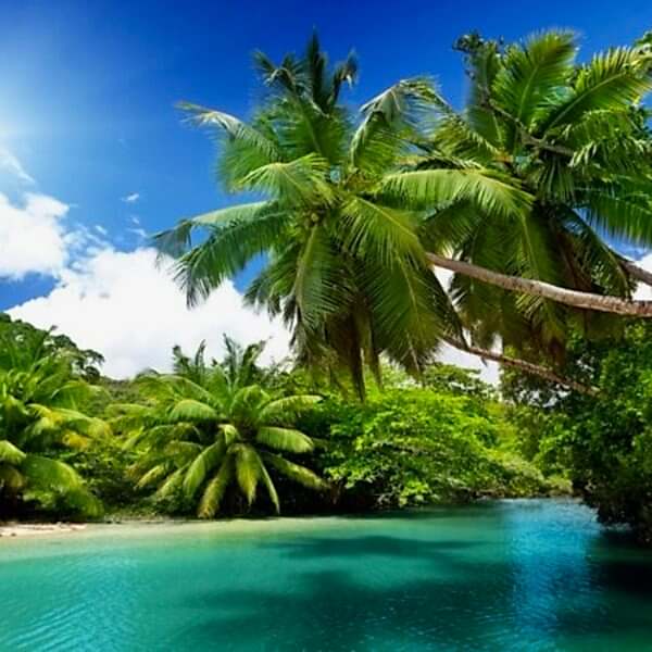 Duvar Kağıdı / DENİZ