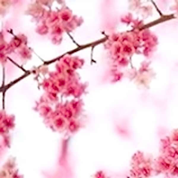 3D Cam Tezgah Alnı / Çiçek