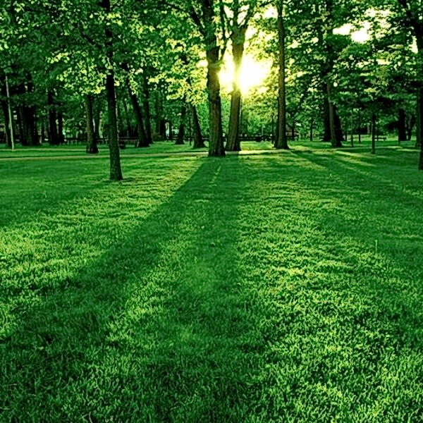 Gergi Tavan / Doğa Görselleri