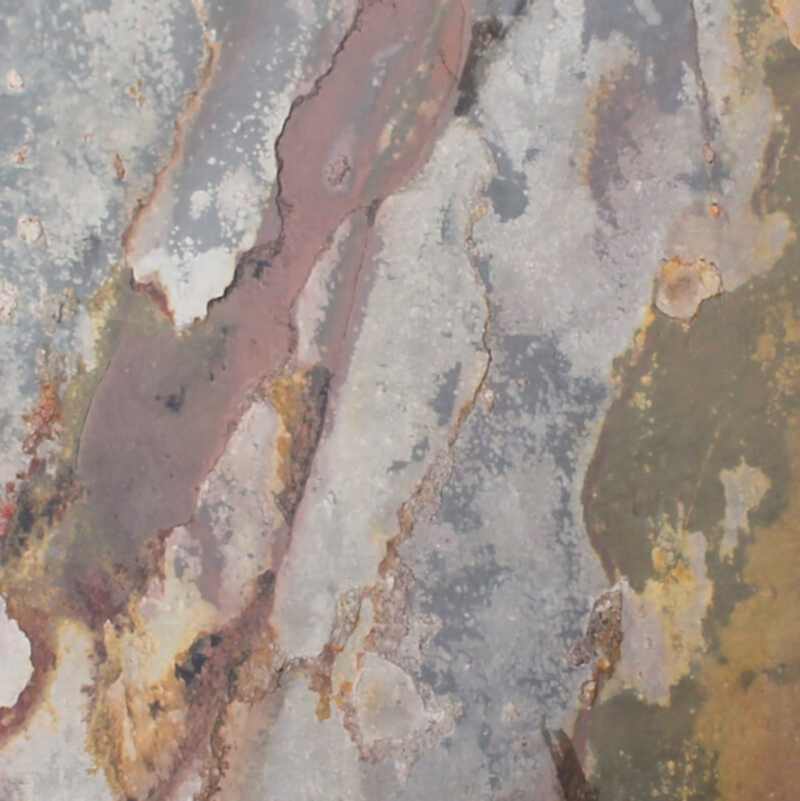 Kategorid8b57cb1-d51f-4cf6-a1fd-e1b117b2896eautumn mixx